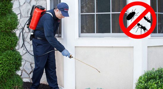 Susurluk Haşere İlaçlama böcek ilaçlama ve haşere kontrolü — ilaclama-tr.com